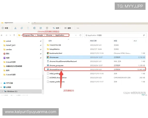 KY体育电脑版官网常见问题解答，解决登录、支付等多方面疑问