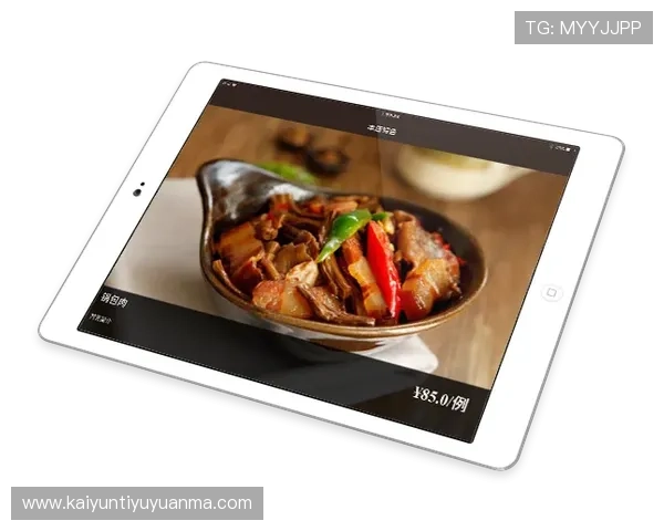 开云网页网页版客户支持与服务，提供全方位的技术支持与帮助