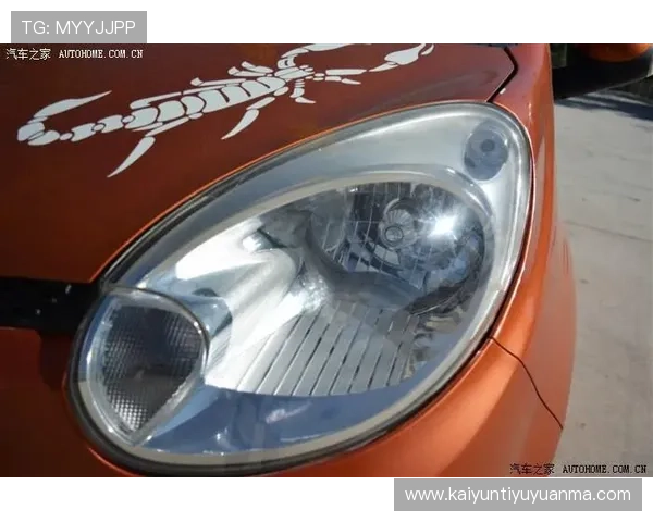 掌握开云集团会员注册技巧,轻松获取购物折扣