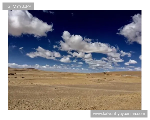 开云棋牌官网活动常见问题解答及最新活动资讯全面汇总帮助玩家快速了解